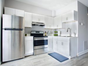Renovated Apartment Kitchen